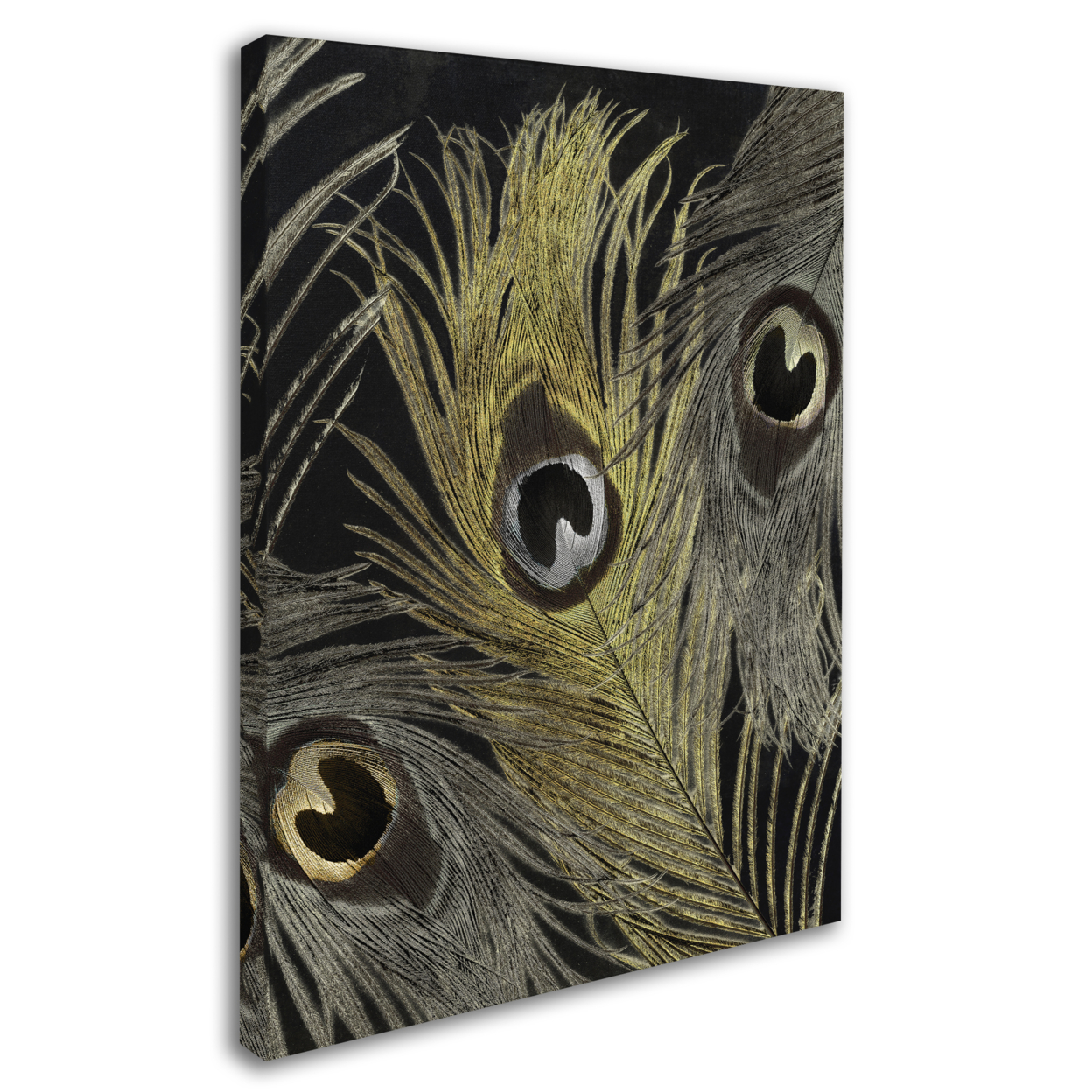 Color Bakery 'Feather Fashion II' 14 X 19 Canvas Art