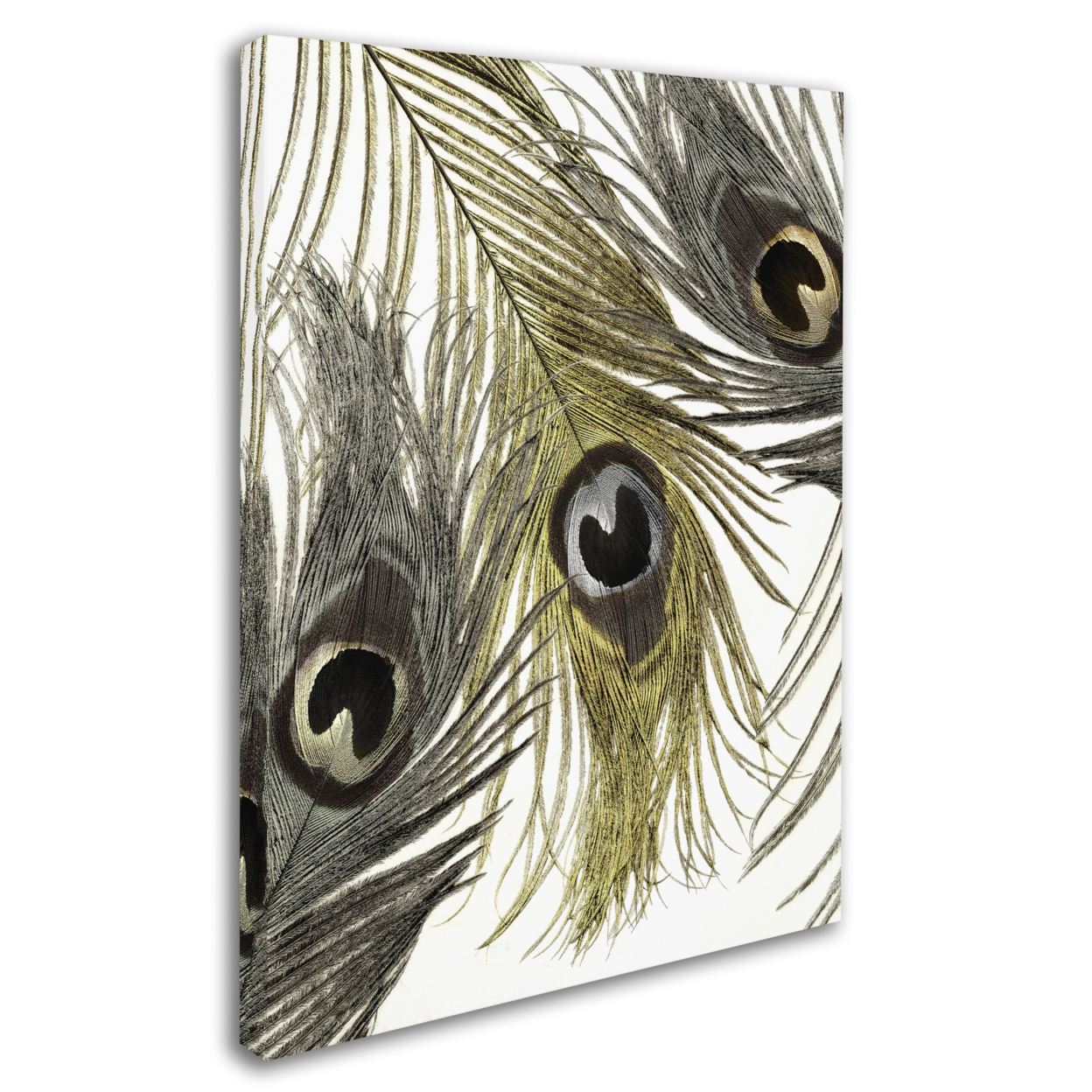 Color Bakery 'Feather Fashion I' 14 X 19 Canvas Art