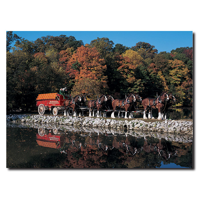 Clydesdales In Fall By Stone Pond 14 X 19 Canvas Art