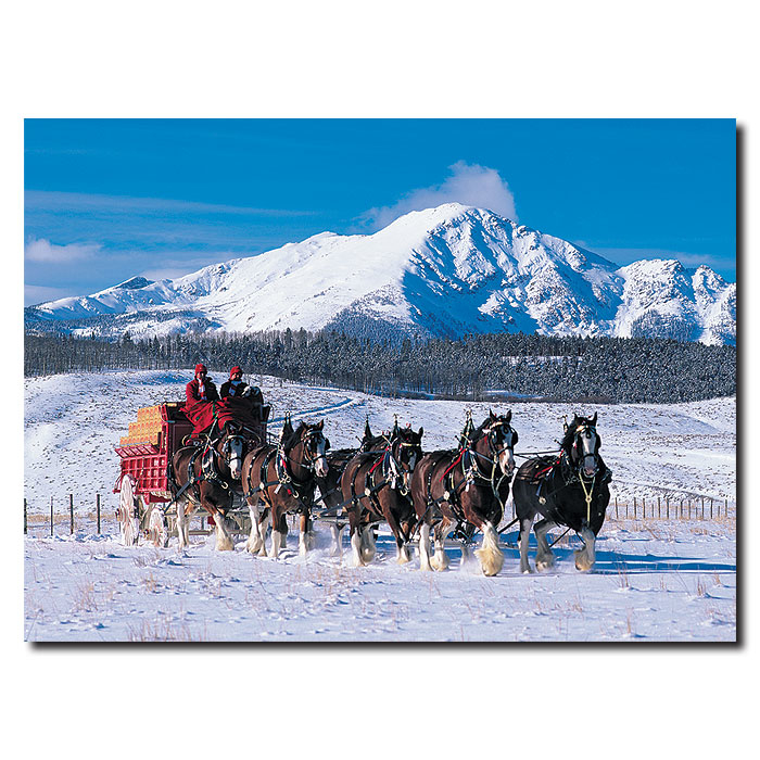 Clydesdales In Snow Covered Mountains 14 X 19 Canvas Art