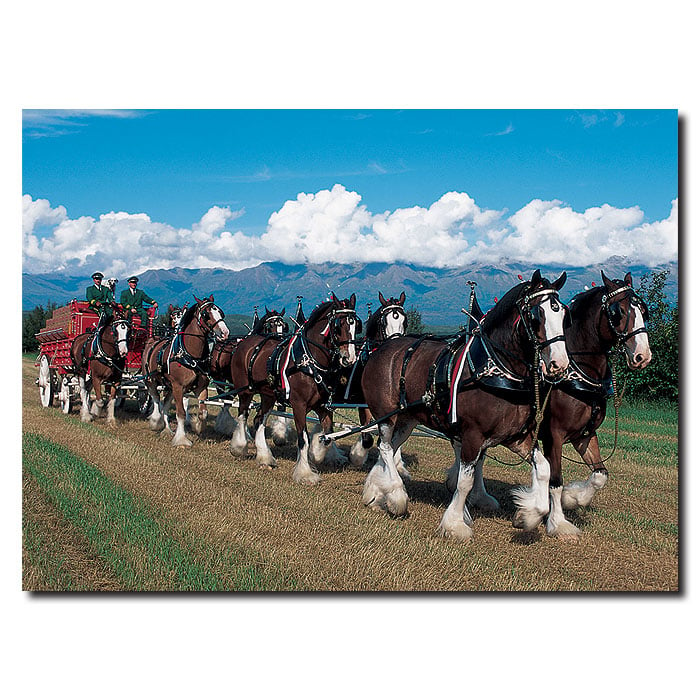 Clydesdales In Blue Sky Mountains 14 X 19 Canvas Art