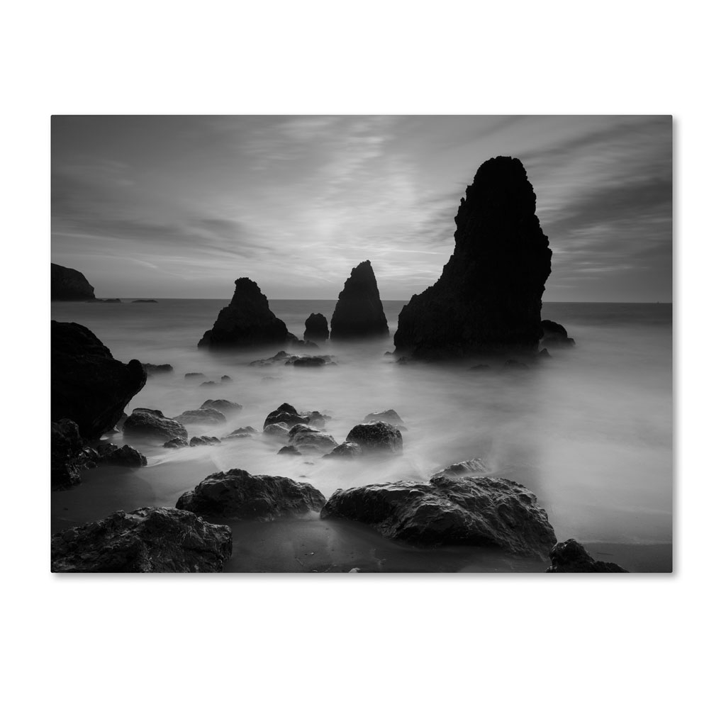 Moises Levy 'Rodeo Beach I Black And White' 14 X 19 Canvas Art