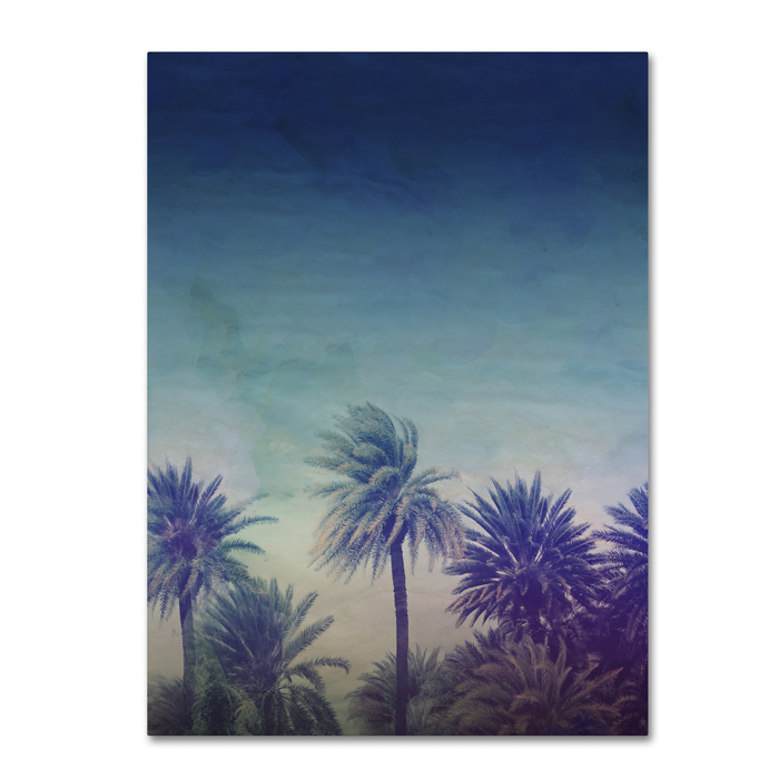 Leah Flores 'Palm Paradise' 14 X 19 Canvas Art