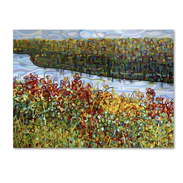 Mandy Budan 'The River' 14 X 19 Canvas Art