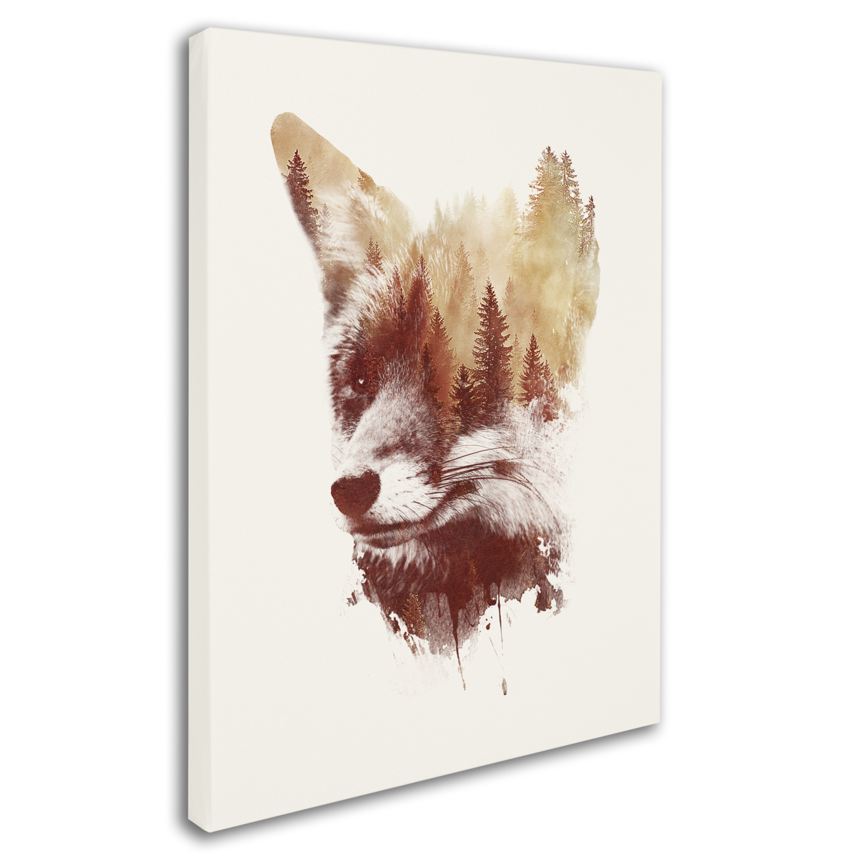 Robert Farkas 'Blind Fox' 14 X 19 Canvas Art