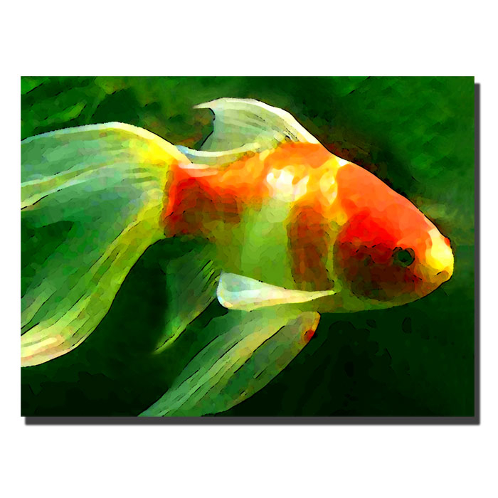 Amy Vangsgard 'Goldfish' 14 X 19 Canvas Art