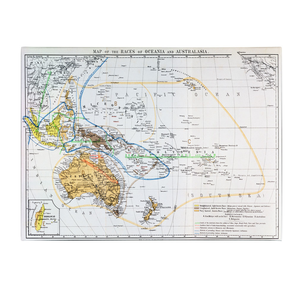 Map Of The Races Of Oceania And Australasia' 14 X 19 Canvas Art