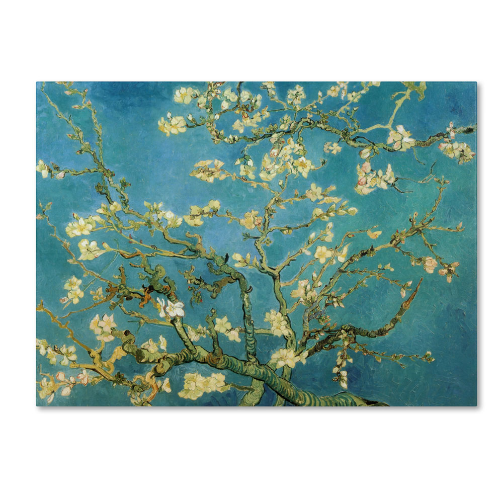Vincent Van Gogh 'Almond Branches In Bloom 1890' 14 X 19 Canvas Art