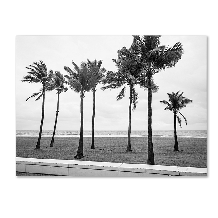 Preston 'Florida BW Beach Palms' 14 X 19 Canvas Art