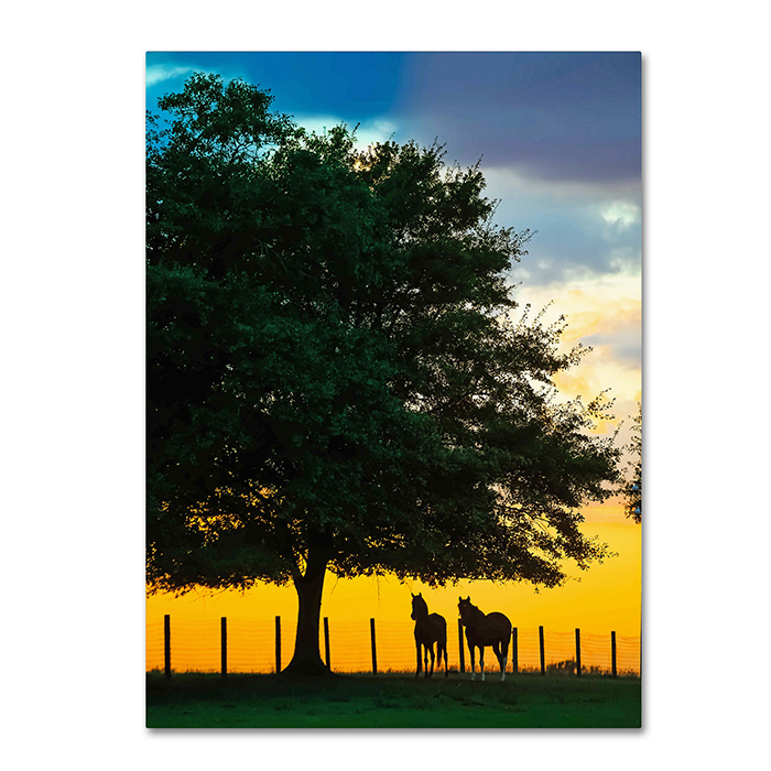 Preston 'Horse Sunset' 14 X 19 Canvas Art