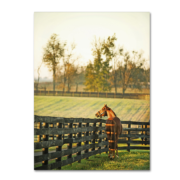 Preston 'Kentucky Horse Sunrise' 14 X 19 Canvas Art