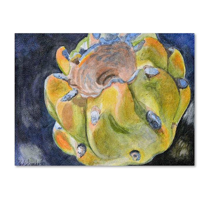 Jennifer Redstreake 'Cactus Fruit' 14 X 19 Canvas Art