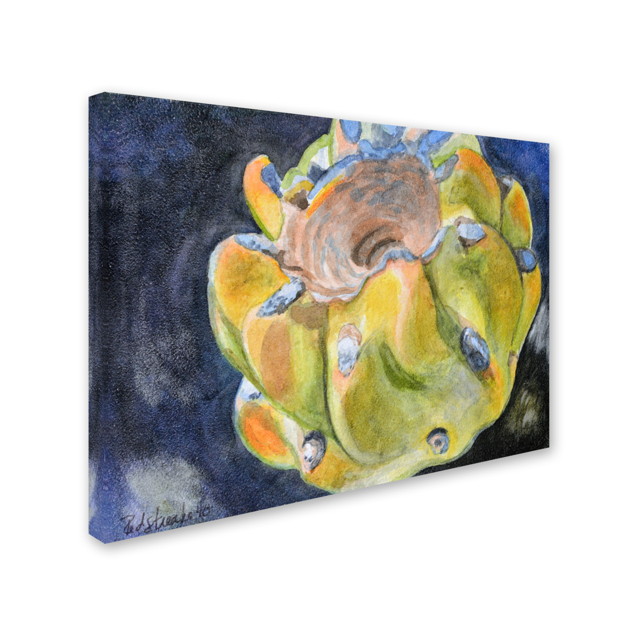 Jennifer Redstreake 'Cactus Fruit' 14 X 19 Canvas Art