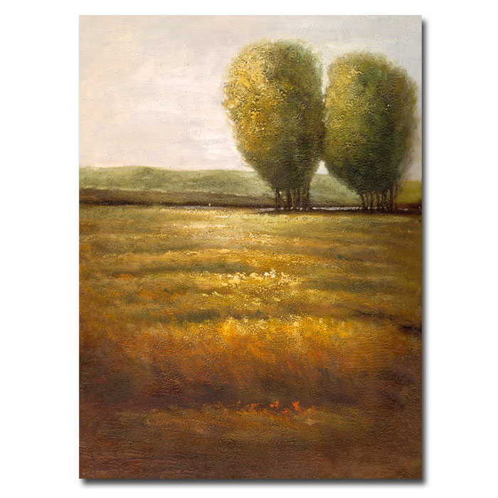 Joval 'In The Country III' 14 X 19 Canvas Art