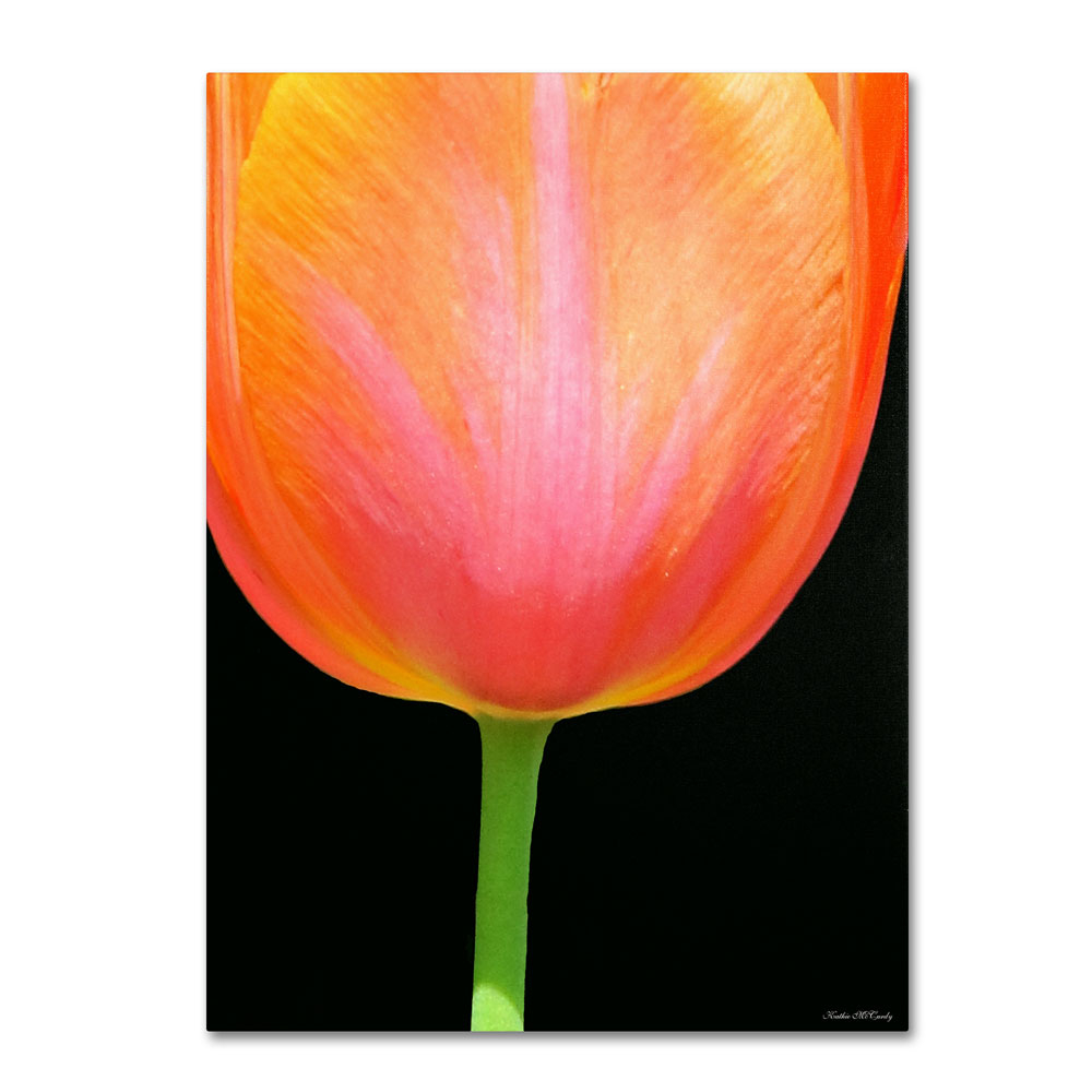 Kathie McCurdy 'Orange Tulip' 14 X 19 Canvas Art