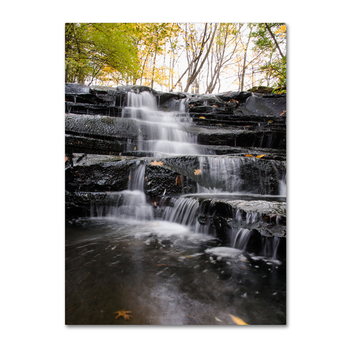 Kurt Shaffer 'Waterfall At Lake View' 14 X 19 Canvas Art