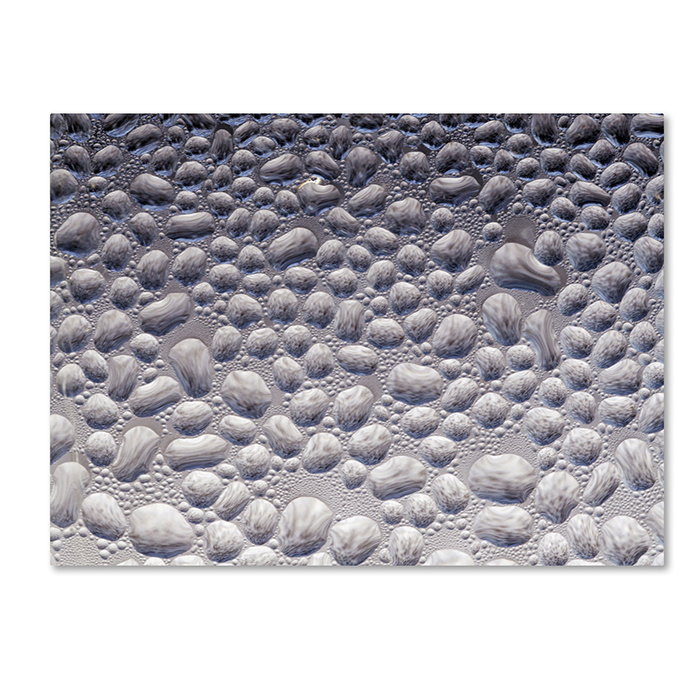 Kurt Shaffer 'Condensation On A Cold Window 2' 14 X 19 Canvas Art