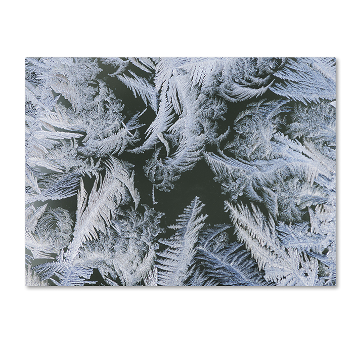 Kurt Shaffer 'Frost At Zero Degrees' 14 X 19 Canvas Art
