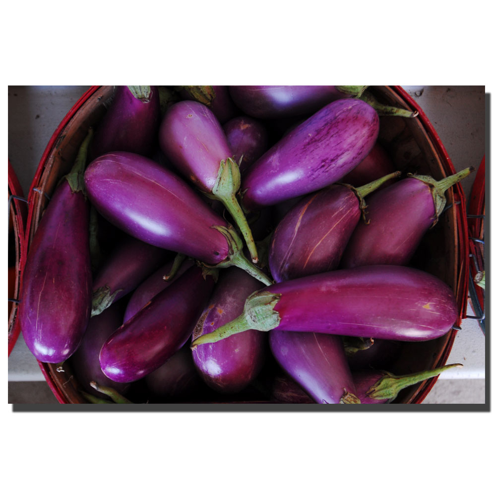 Kurt Shaffer 'Eggplants' 14 X 19 Canvas Art