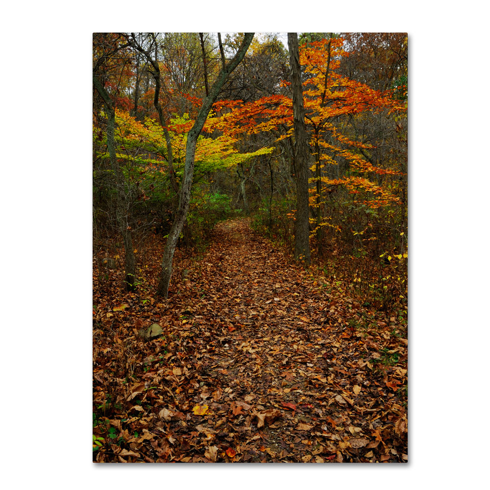 Kurt Shaffer 'Late Autumn Hike' 14 X 19 Canvas Art