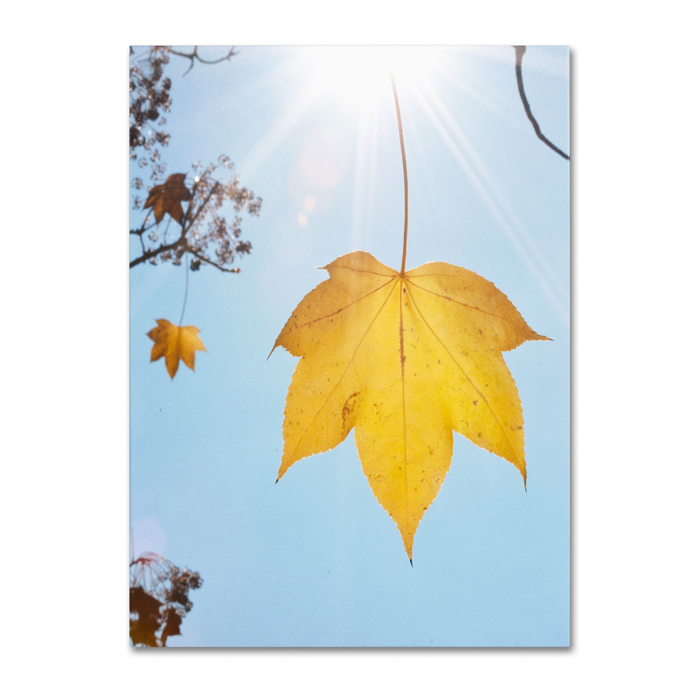Kurt Shaffer 'Autumn Inspiration' 14 X 19 Canvas Art