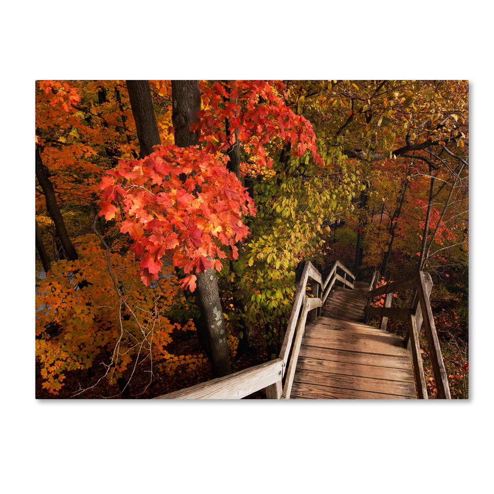 Kurt Shaffer 'Brilliant Autumn Stairway' 14 X 19 Canvas Art
