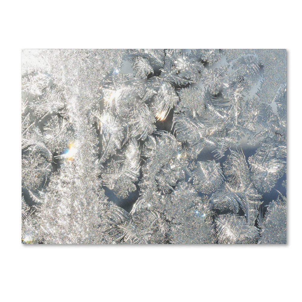 Kurt Shaffer 'Frost Pattern In The Sun' 14 X 19 Canvas Art