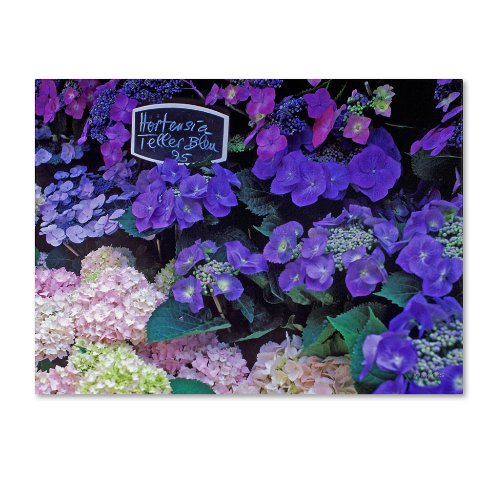 Kathy Yates 'Paris Flower Market Hydrangeas' 14 X 19 Canvas Art