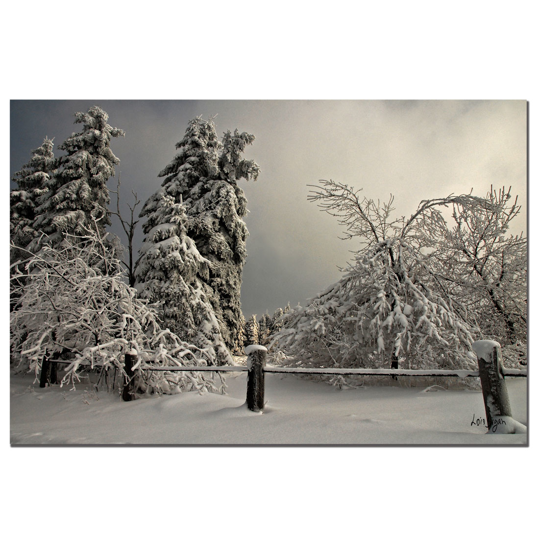Lois Bryan 'Winter Scene II' 14 X 19 Canvas Art