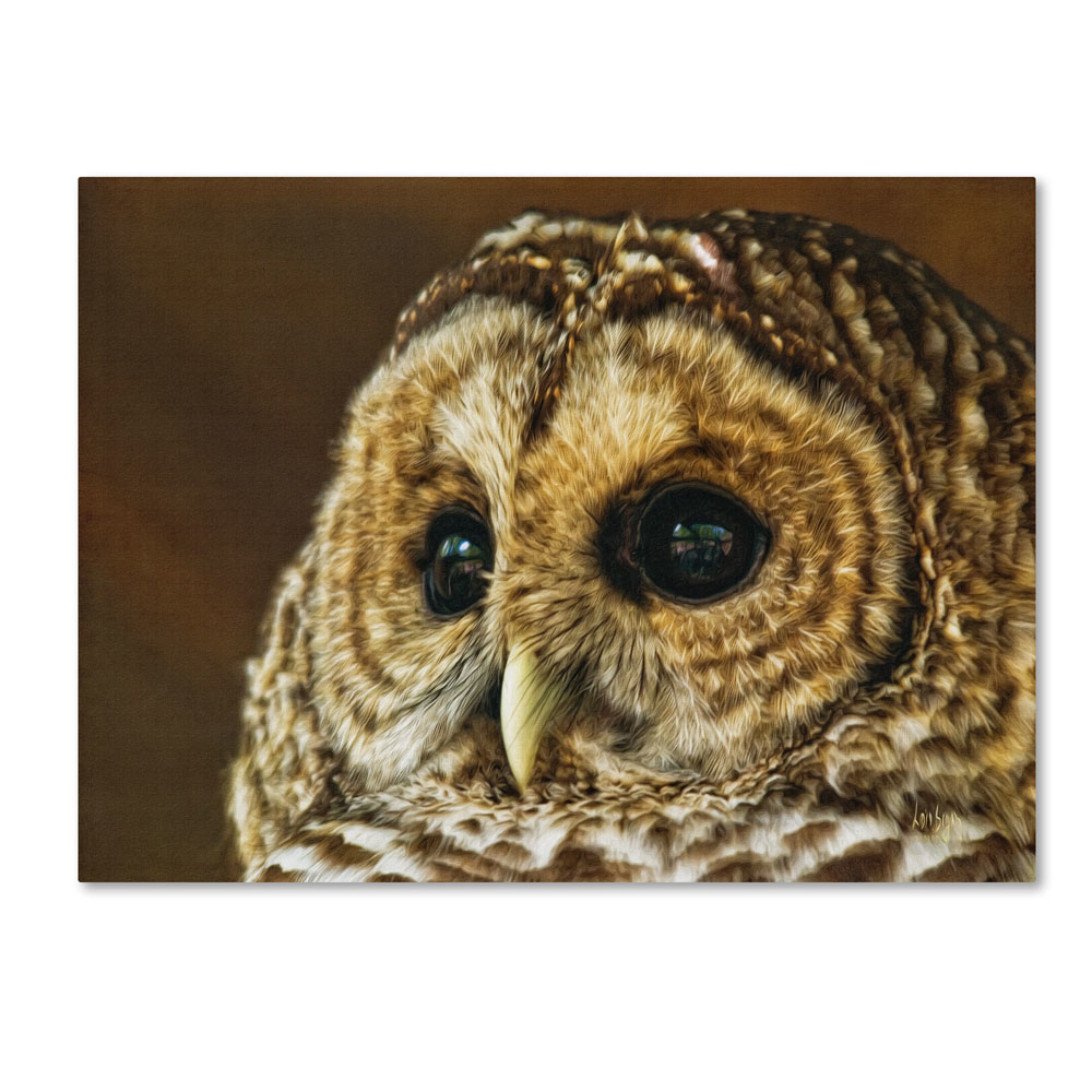 Lois Bryan 'Barred Owl Portrait' 14 X 19 Canvas Art