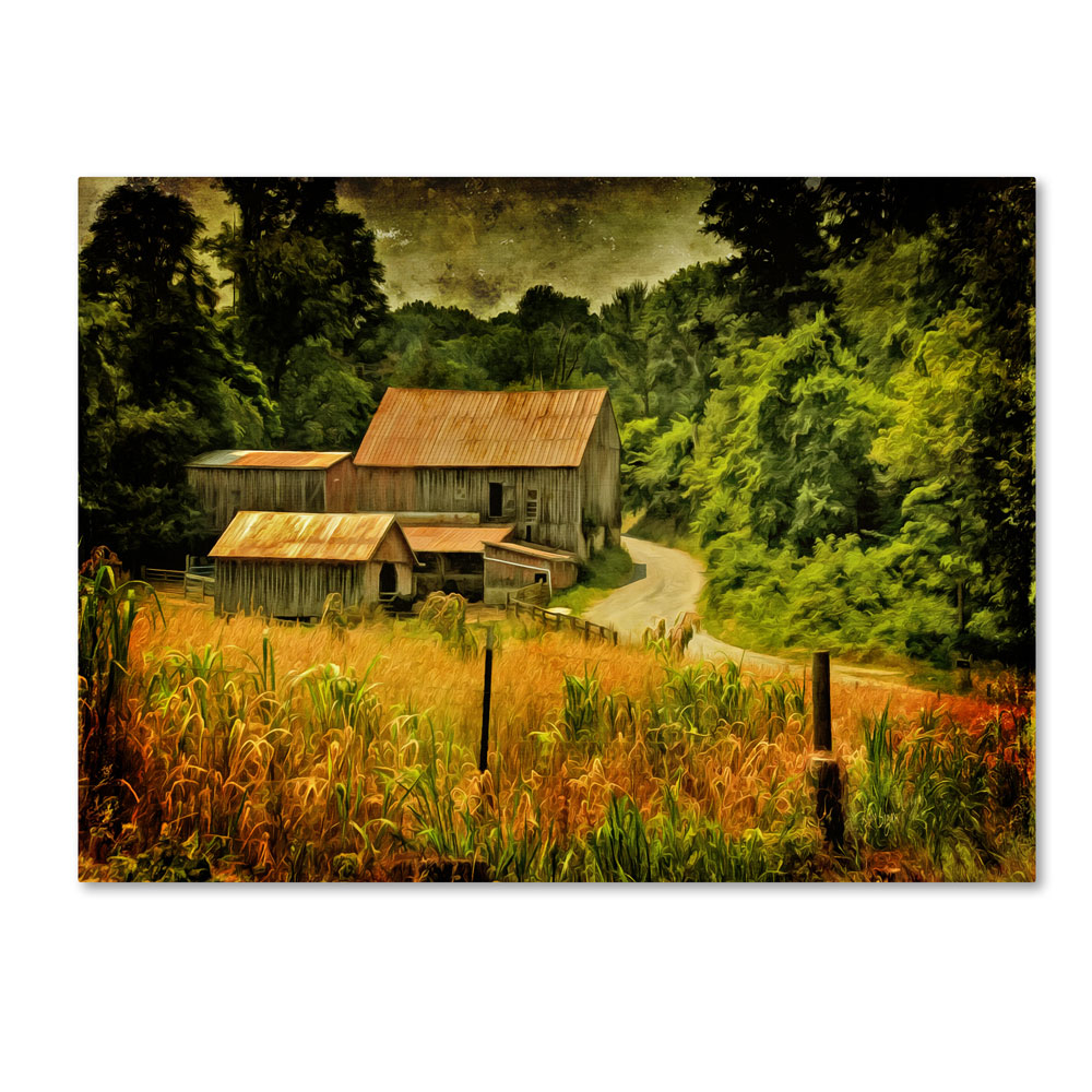 Lois Bryan 'Country Road In Summer' 14 X 19 Canvas Art