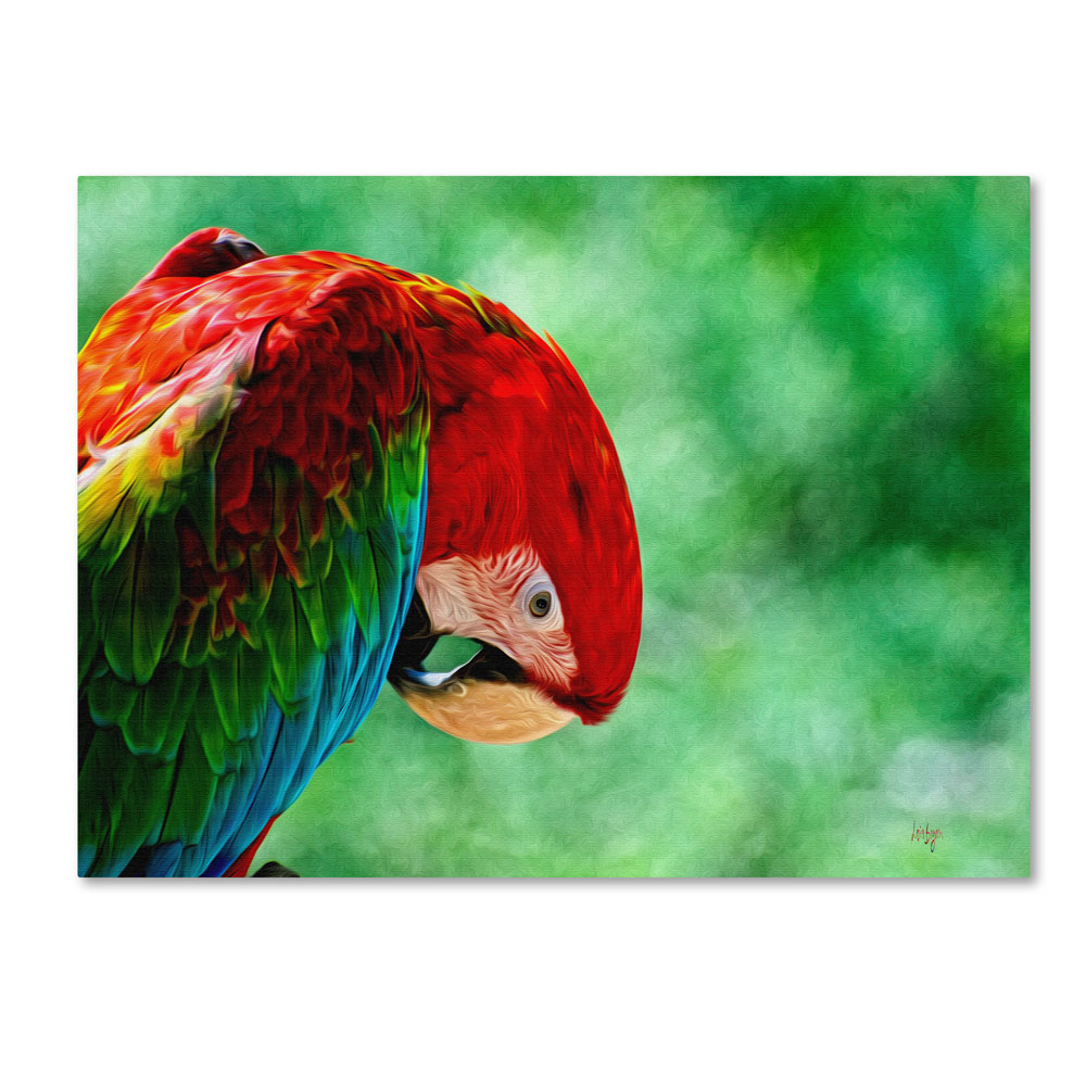 Lois Bryan 'Colorful Macaw' 14 X 19 Canvas Art