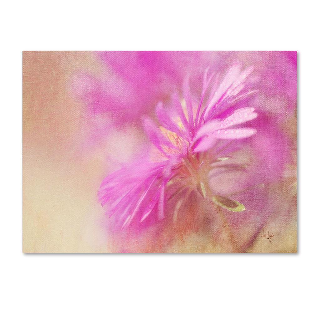 Lois Bryan 'Dewy Pink Aster' 14 X 19 Canvas Art