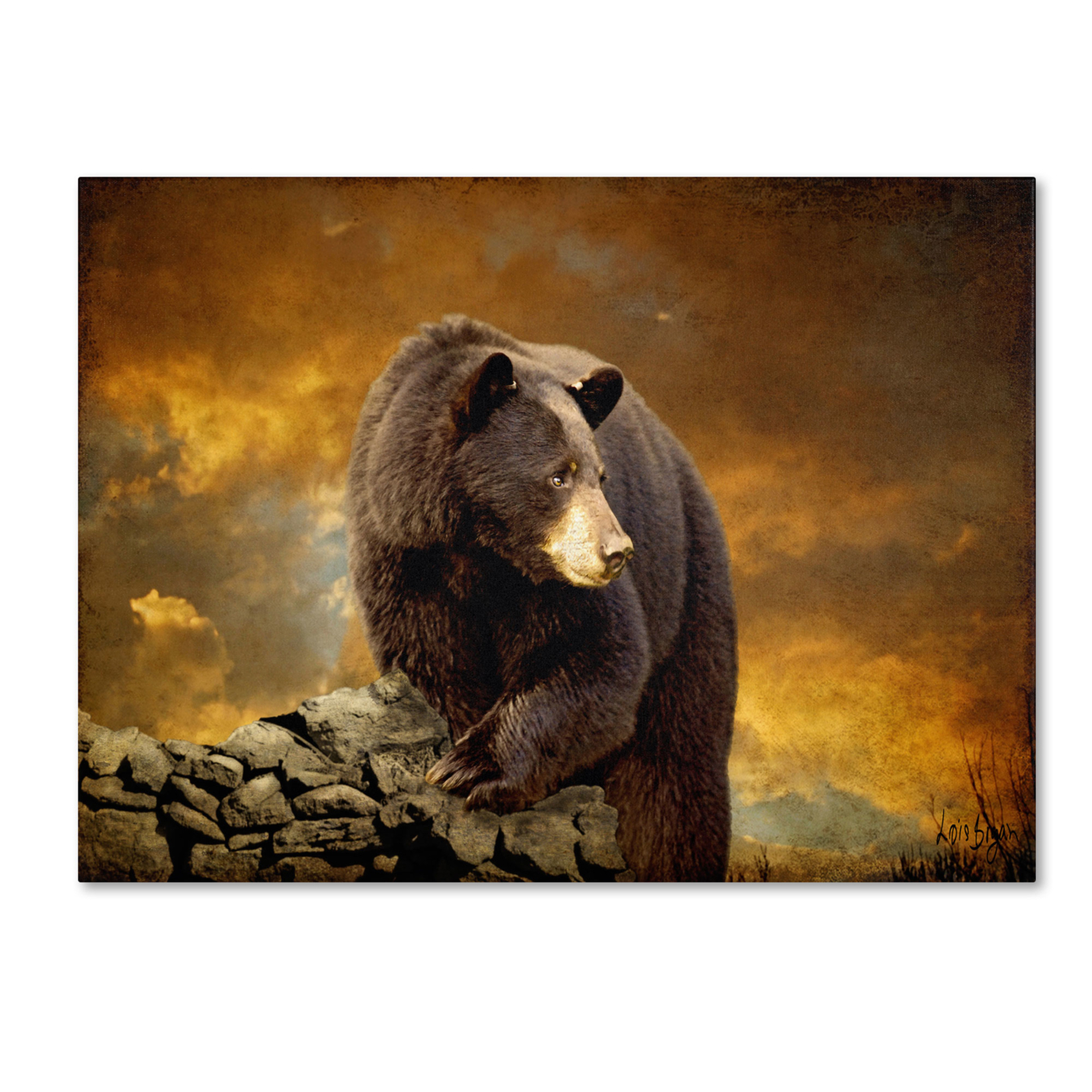 Lois Bryan 'The Bear Went Over The Mountain' 14 X 19 Canvas Art