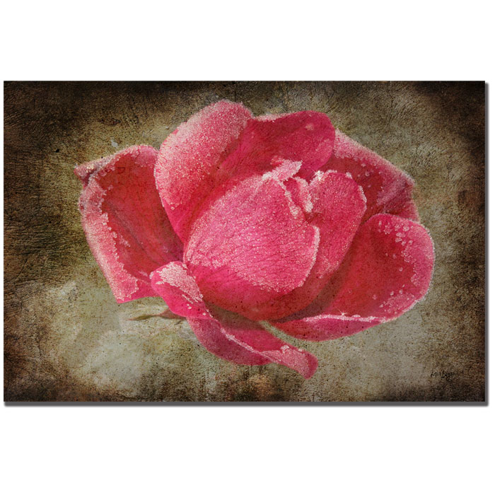 Lois Bryan 'Frosted Rose' 14 X 19 Canvas Art