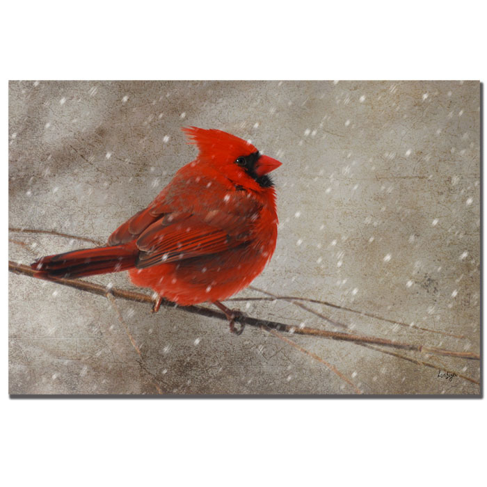 Lois Bryan 'Cardinal In Winter' 14 X 19 Canvas Art