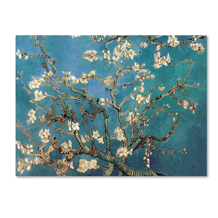 Vincent Van Gogh 'Almond Blossoms' 14 X 19 Canvas Art