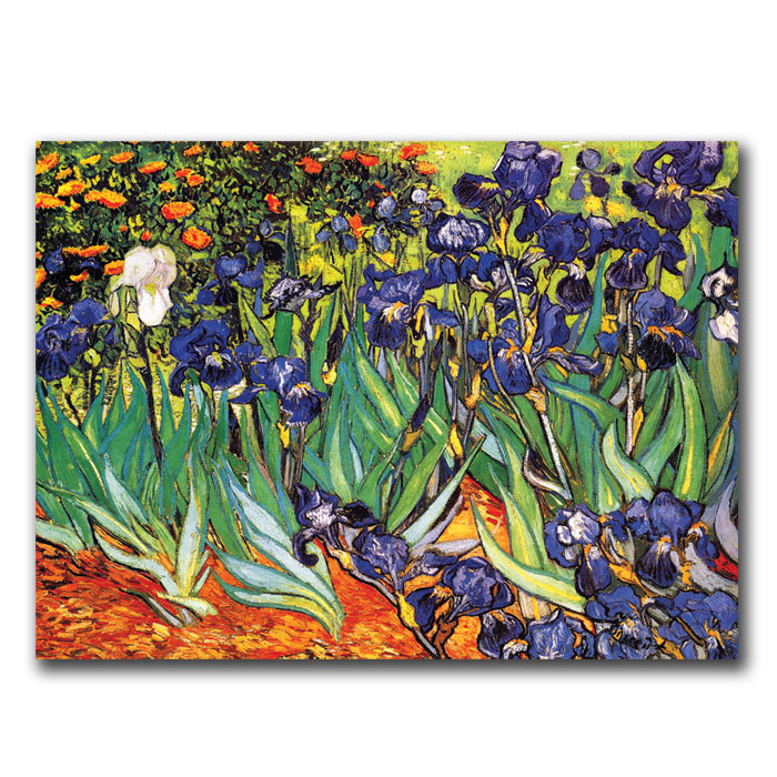Vincent Van Gogh, 'Irises At Saint-Remy' 14 X 19 Canvas Art