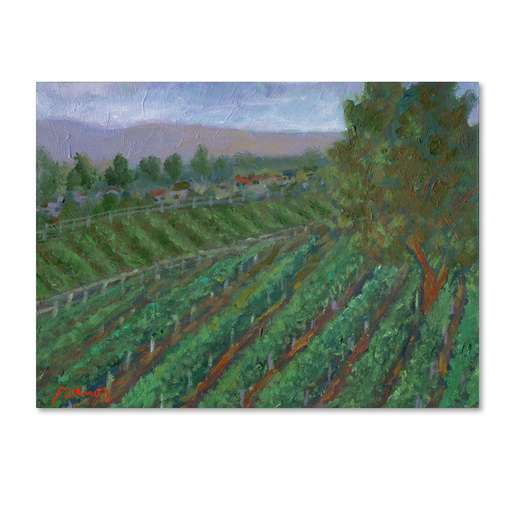 Manor Shadian 'Sonoma Valley' 14 X 19 Canvas Art