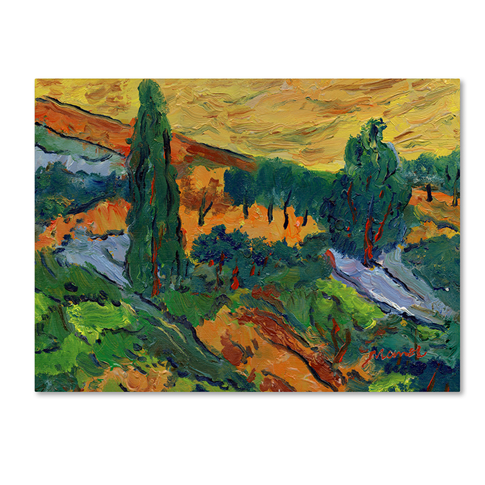 Manor Shadian 'Sunset Ends A Summer Day' 14 X 19 Canvas Art