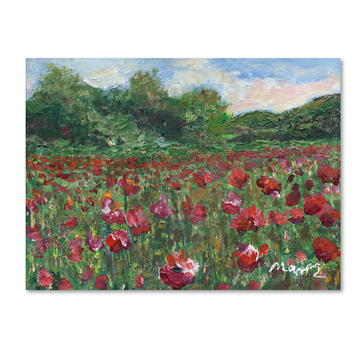 Manor Shadian 'Poppy Field Wood' 14 X 19 Canvas Art