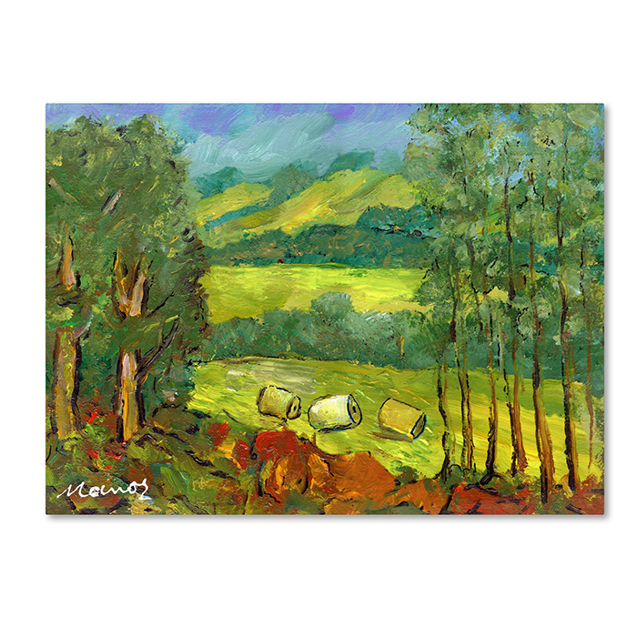 Manor Shadian 'Balds In The Field' 14 X 19 Canvas Art