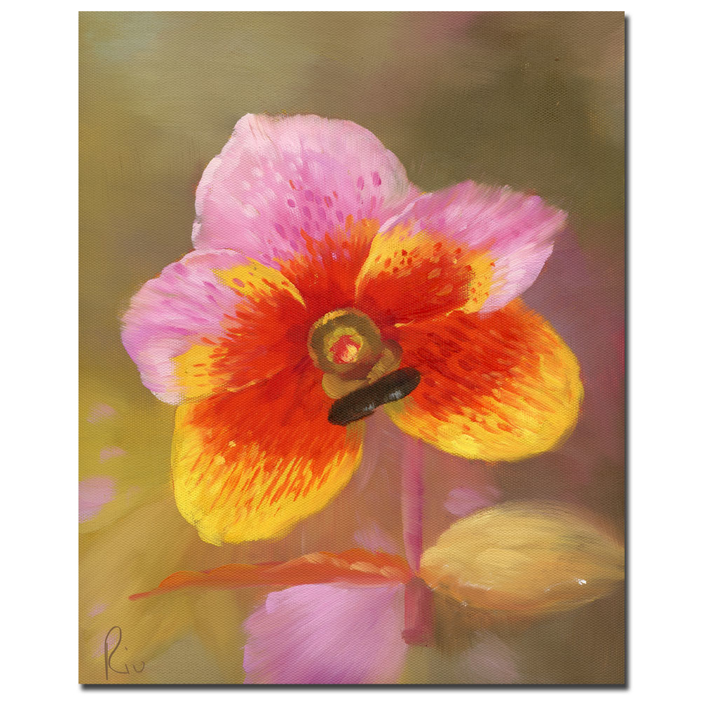 Orange-Pink Orchid' 14 X 19 Canvas Art