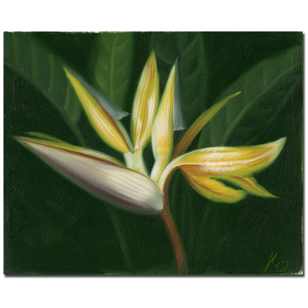 Lilies' 14 X 19 Canvas Art