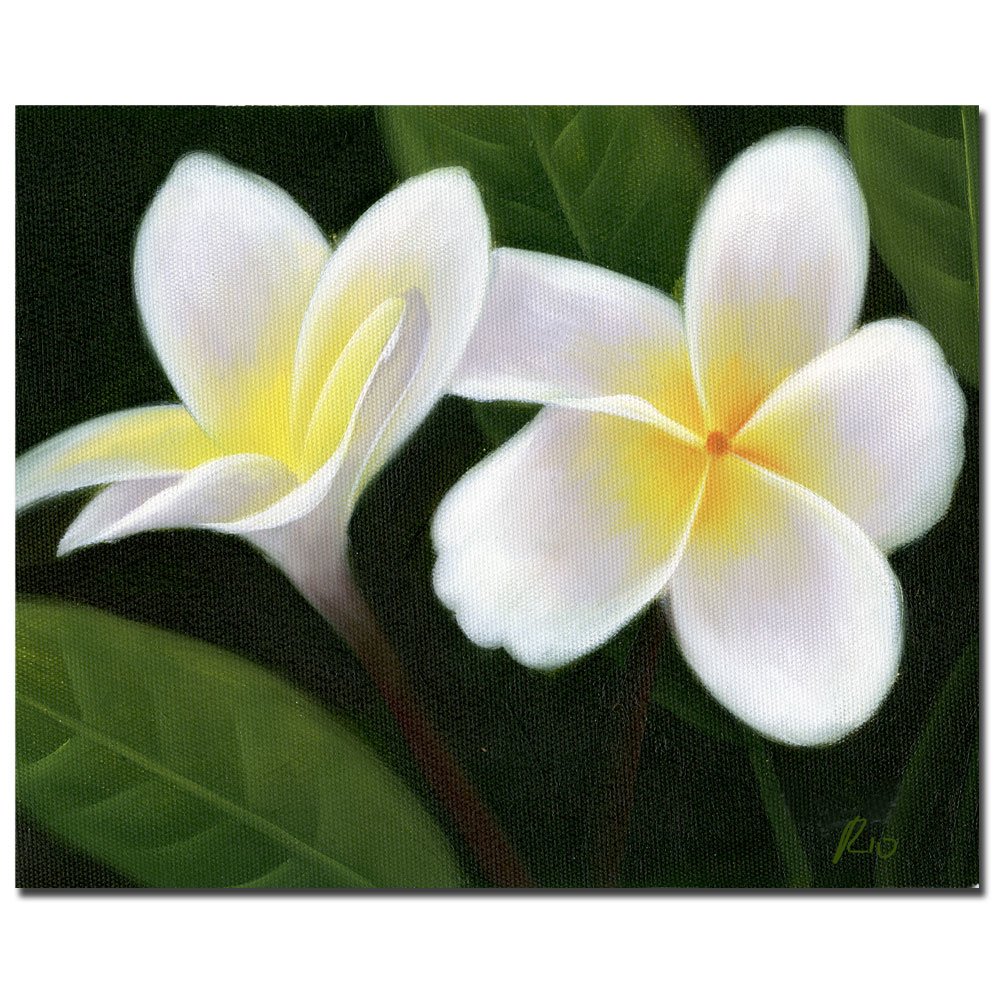 Hawaiian Lei Flowers' 14 X 19 Canvas Art