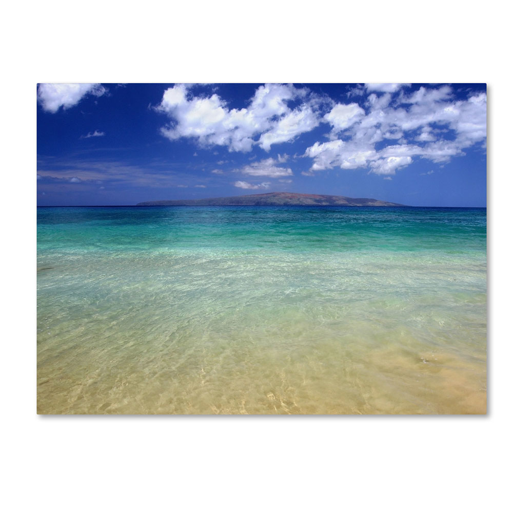 Pierre Leclerc 'Hawaii Blue Beach' 14 X 19 Canvas Art
