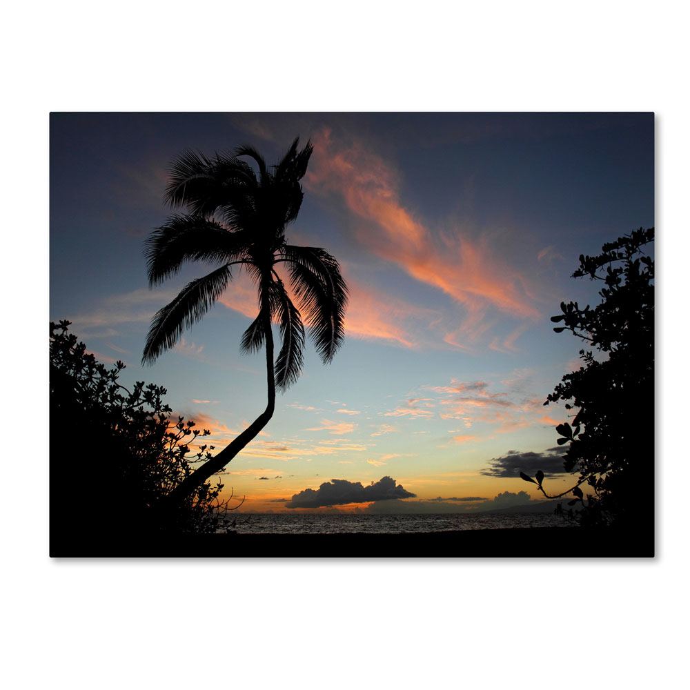 Pierre Leclerc 'Tropical Sunset' 14 X 19 Canvas Art