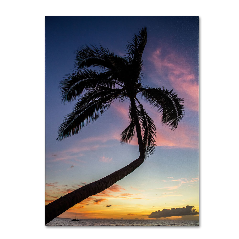 Pierre Leclerc 'Sunset Palm' 14 X 19 Canvas Art