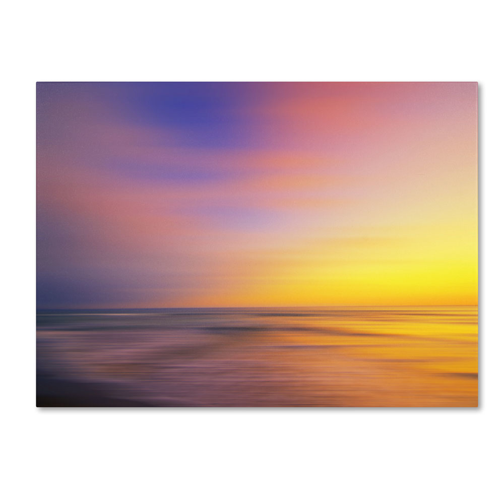 Philippe Sainte-Laudy 'Metallic Sunset' 14 X 19 Canvas Art