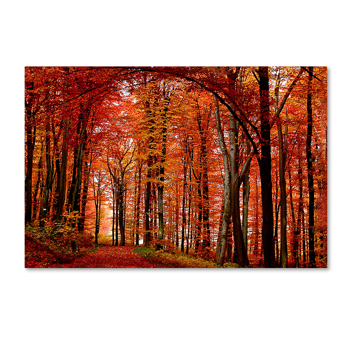 Philippe Sainte-Laudy 'The Red Way' 14 X 19 Canvas Art